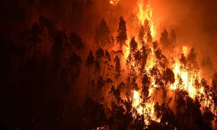 MIGUEL RIOPA / AFP MIGUEL RIOPA / AFP