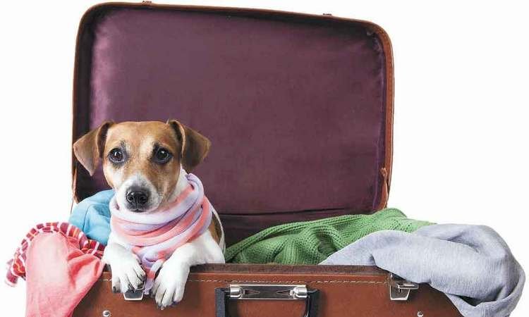 Na bagagem (Divulga��o)