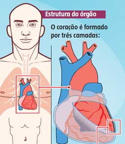 Sinais de infarto podem ocorrer até duas semanas antes - Jornal Opção