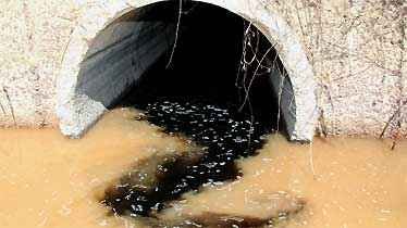 Cidades ribeirinhas têm índice de saneamento duas vezes pior que o estado. Descargas alimentam organismos tóxicos (Solon Queiroz/Esp. EM )