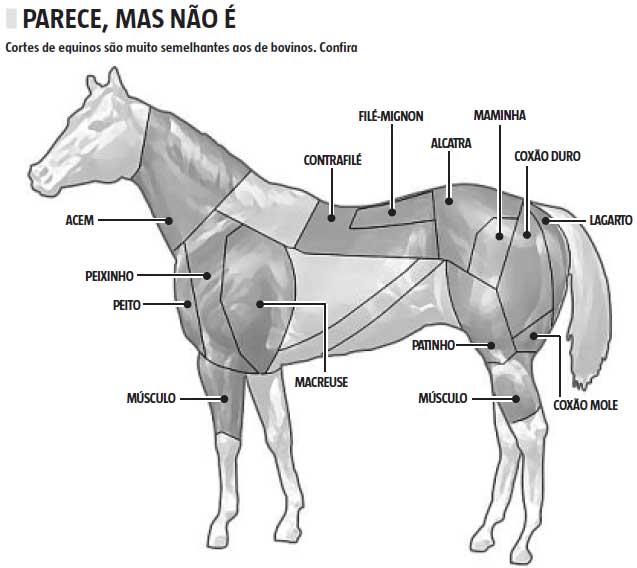 Sem cultura de consumo de cavalo, só os velhos ou com patas quebradas vão  para frigoríficos - Economia - Estado de Minas