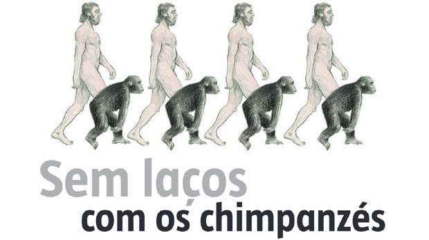 Trabalho teoria da evolução