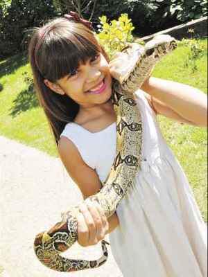 Serpentes e crianças em casa - Mundo Pet