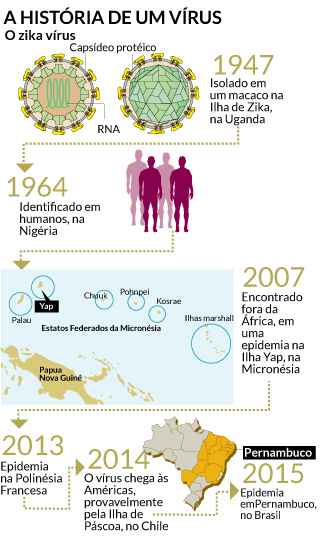 OMS prevê 4 milhões de casos de zika nas Américas em um ano