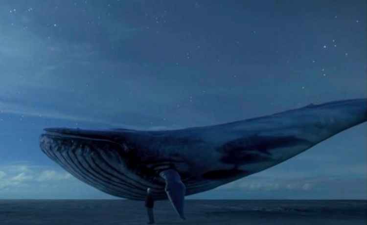 Imagem da baleia azul é utilizada como código para o jogo do suicídio