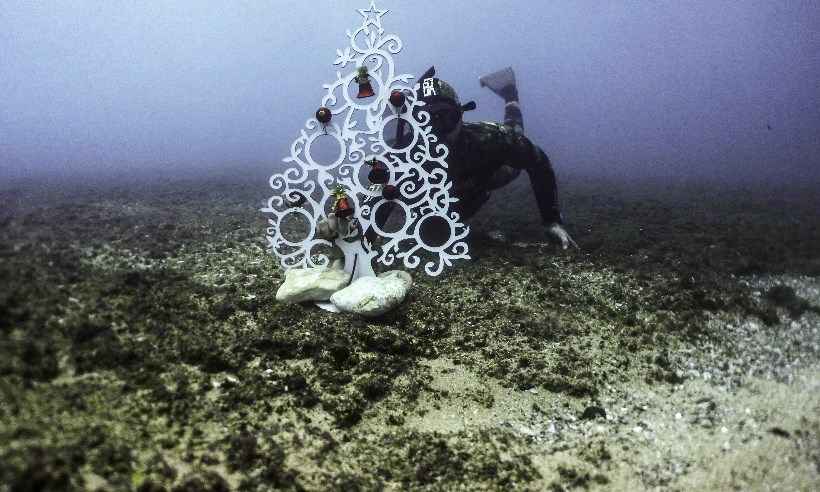 Mergulhadores decoram fundo do mar com árvore de Natal - Internacional -  Estado de Minas