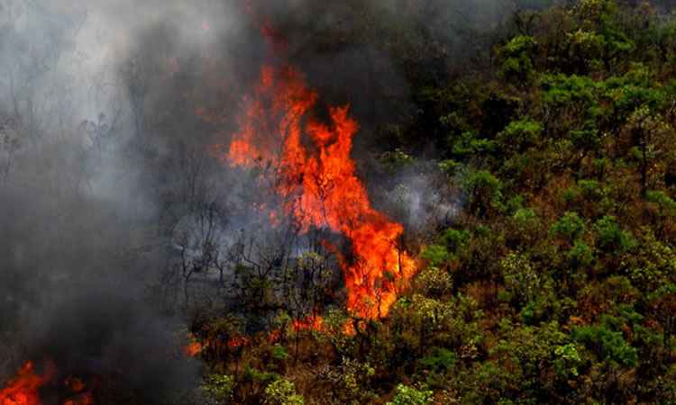 Crise climática: seca severa na Amazônia é agravada por desmatamento e fogo