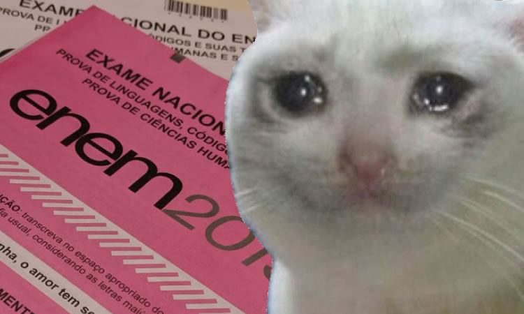 Os mais divertidos memes do Enem 2019