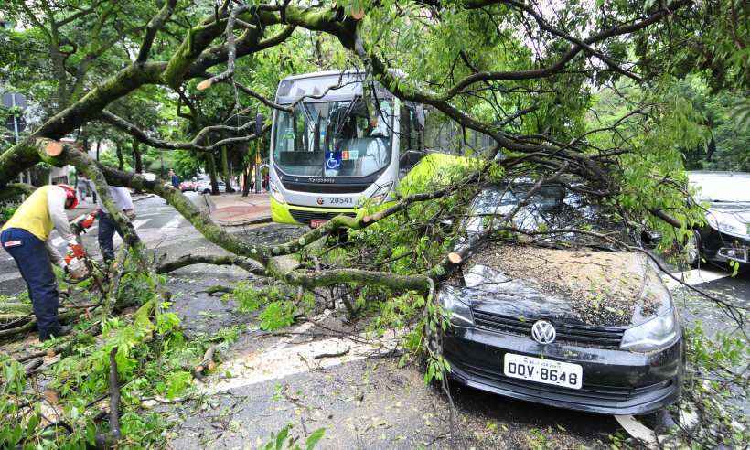 Seguro cobre danos em marcha de carro? - Blog da Poolseg