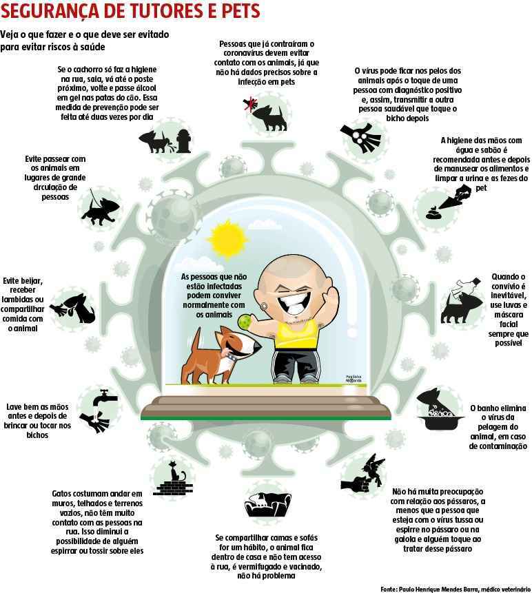 Coronavírus e pets: veja perguntas e respostas sobre cuidados com animais  de estimação, Coronavírus