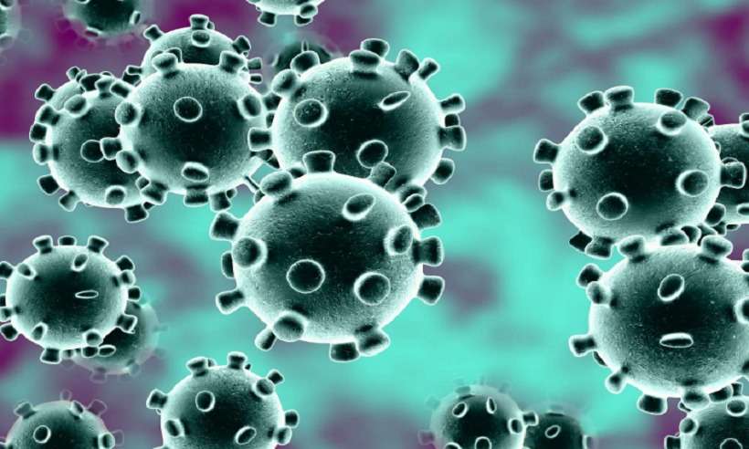 EUA está desenvolvendo cepa de coronavírus para 'testes de desafio' em humanos