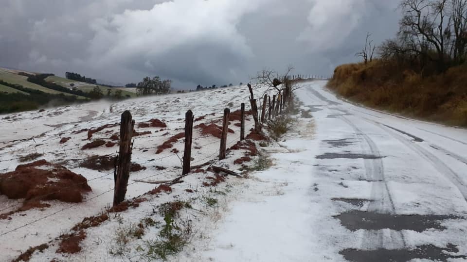 Parece que nevou: chuva de granizo cobre estradas e plantações do Sul de Minas; veja fotos - Gerais - Estado de Minas