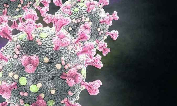 Cientistas descobrem genes que barram o coronavírus