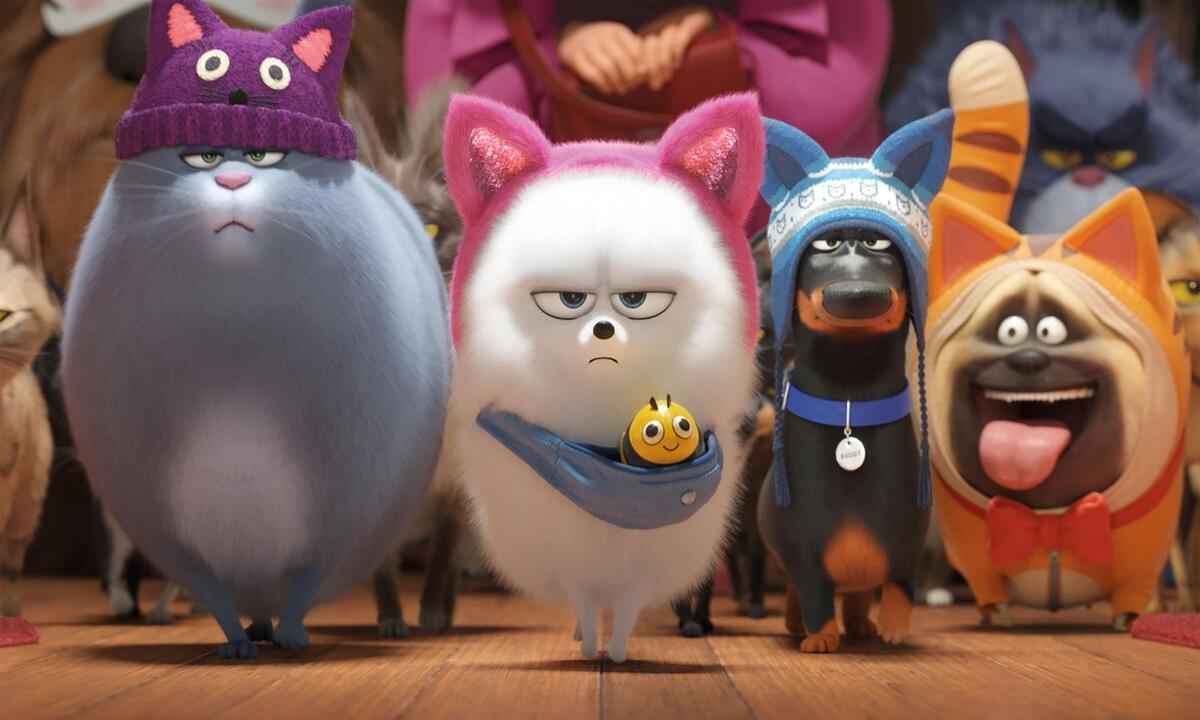 Gato de Botas 2: O Último Pedido aposta nos clássicos para resgatar a  DreamWorks - Blog