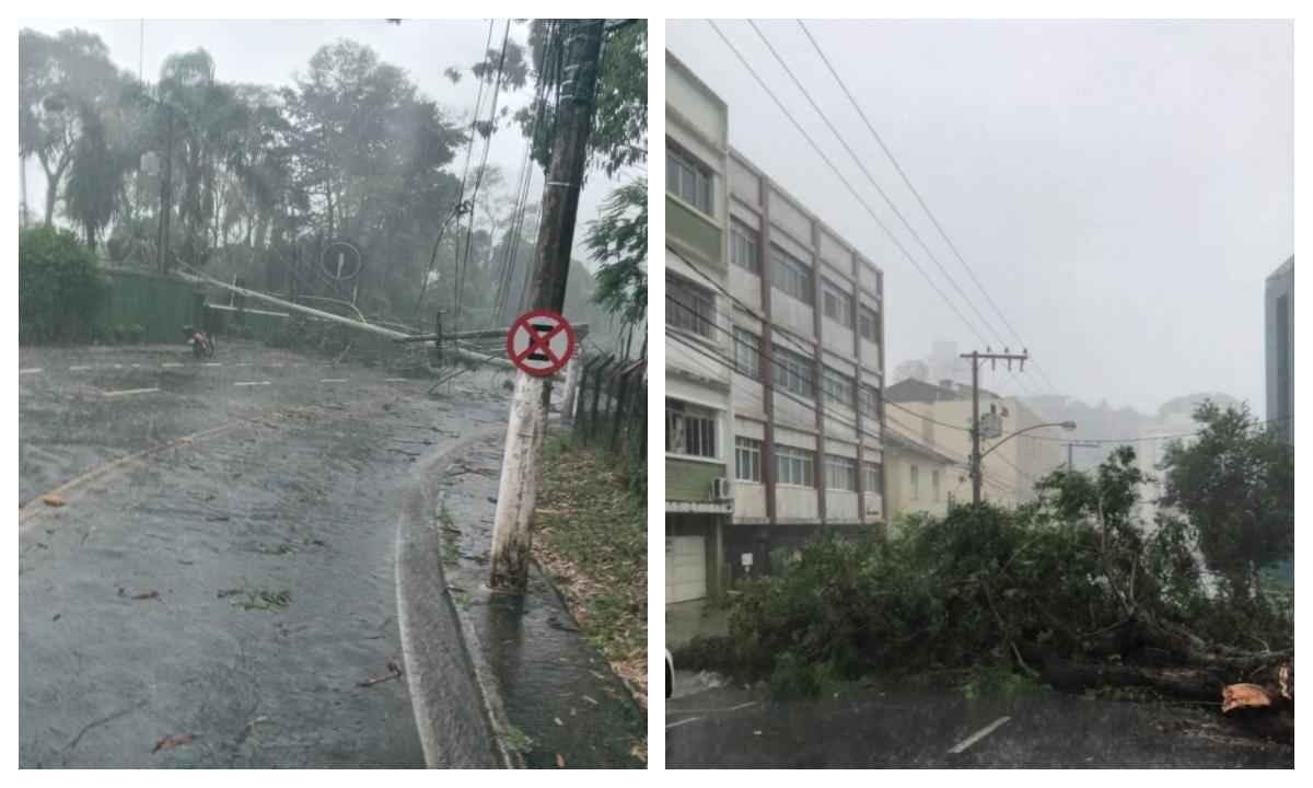 Postes caem durante temporal na BR 277, região do Trevo da Portal