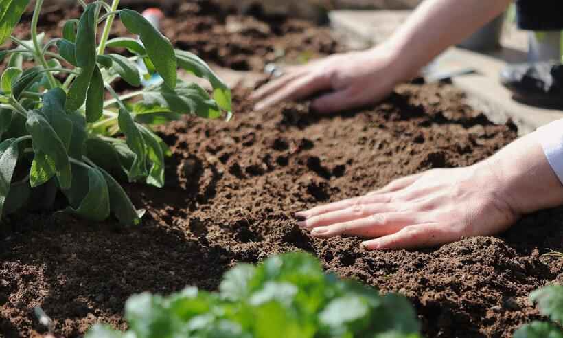 Pequeno Guia para Jardinar a Alma – Dá Tua Mão: Vivencias Criativas