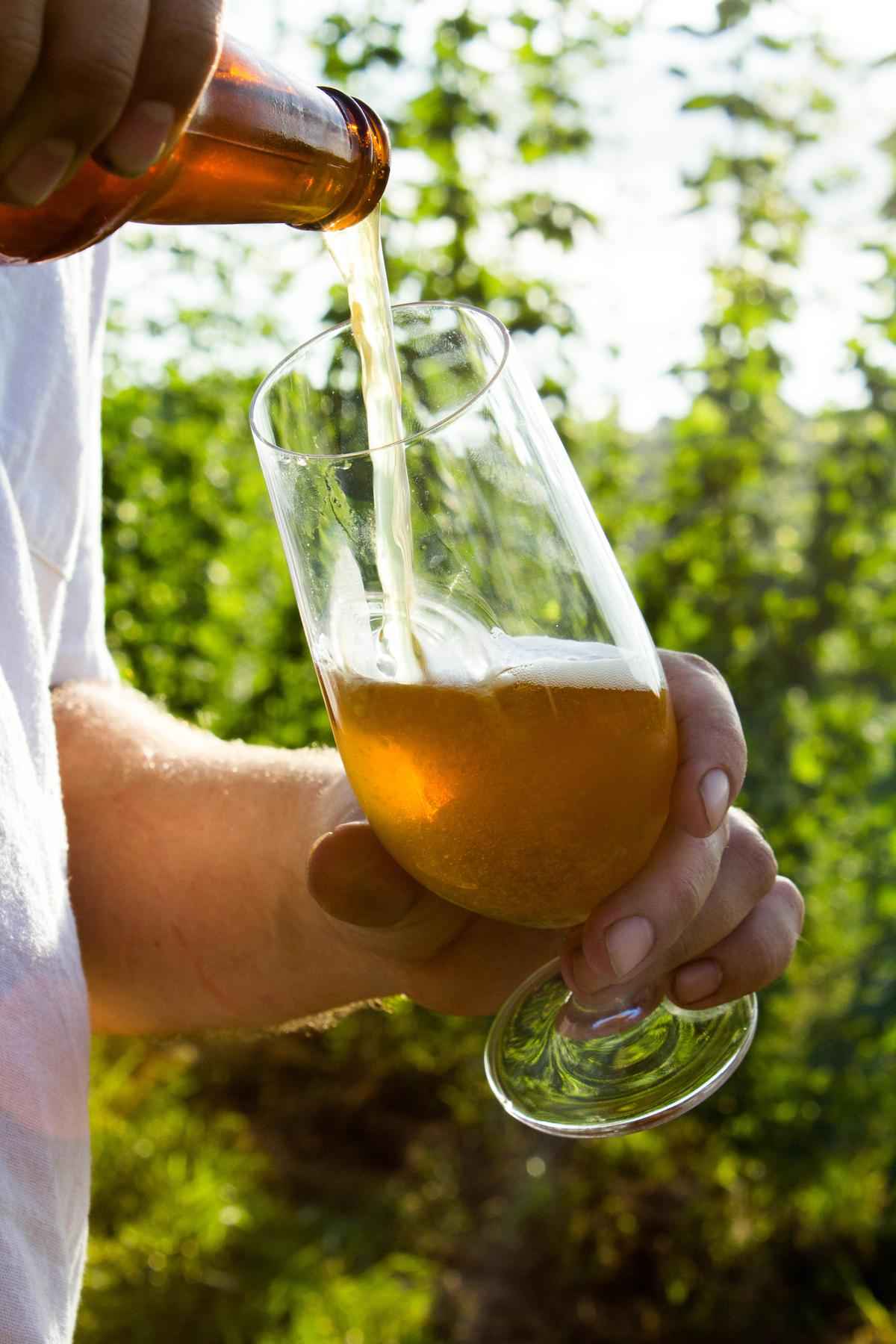 Gelo na cerveja? Invenção de mineiro resfria instantaneamente a bebida -  Degusta - Estado de Minas